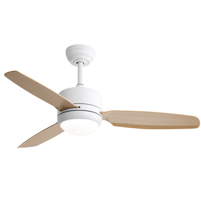 Ventilateur de plafond